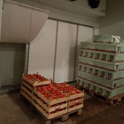 Schnellabkühlung für Beerenfrüchte