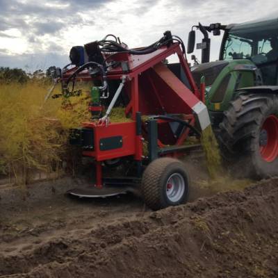 Asparagus haulm shredder BISON